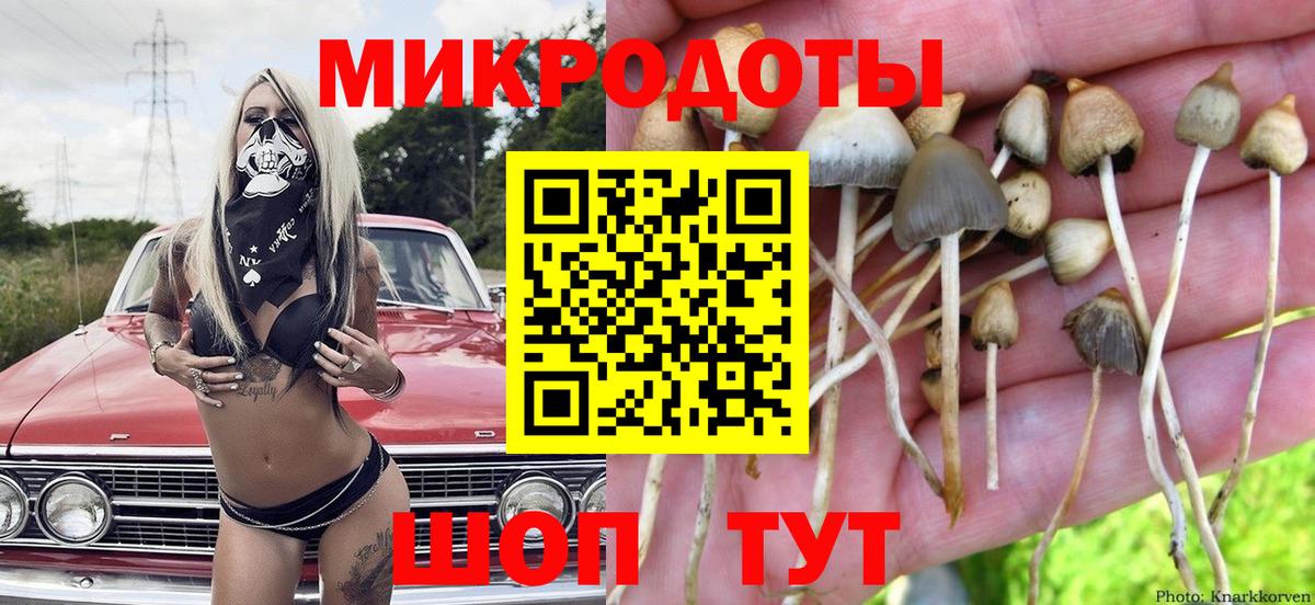 Галлюциногенные грибы мицелий Кунгур