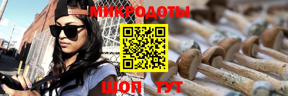 Кунгур  Псилоцибиновые грибы мицелий  Вход с VPN 